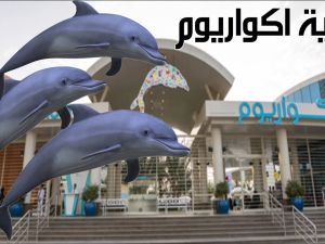 فقيه اكواريوم جدة