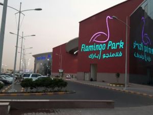 فلامنجو مول في جدة