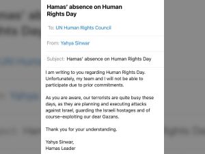 IDF email
