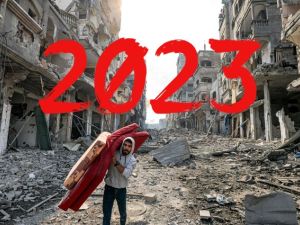 عام 2023 في سطور 