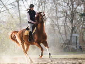 أماكن ركوب الخيل في جدة