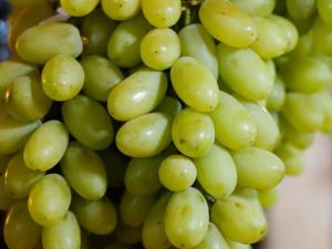 تفسير حلم العنب الأخضر في المنام