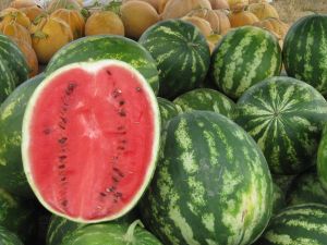تفسير حلم رؤيا البطيخ الأخضر في المنام
