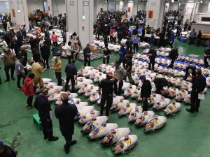 Tokyo fish market 