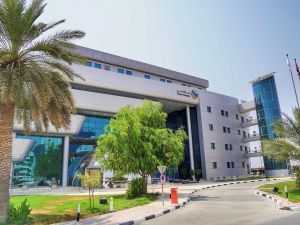 جمارك دبي تطلع المتعاملين على أحدث إجراءاتها عبر اصدار 13 اعلان وسياسة جمركية في 2023