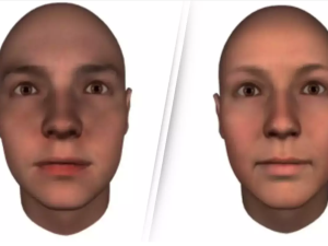 Face shape 