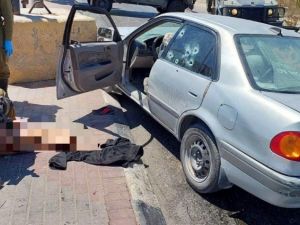 عملية رعنانا شمال مدينة تل أبيب