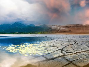 climate scientists