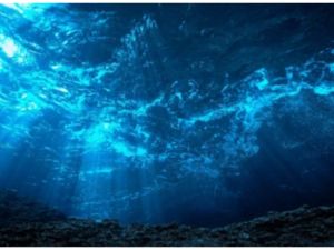  Ocean