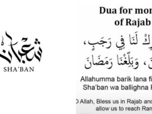 Shutterstock  Dua
