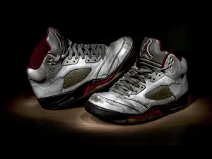 Michael Jordan Shoe 