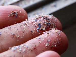 Shutterstock microplastics