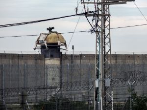Gaza Walls