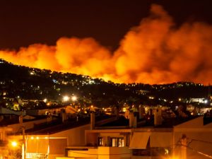 Layla Abdel Latif predicted Hebron's massive blaze 2 years ago!