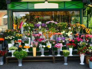 flower shop