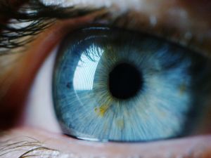 blue eyes