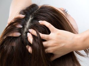 تفسير حلم نزع القمل من الشعر للمتزوجة والحامل