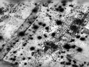 مجزرة شارع الرشيد