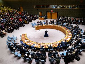 UN Security Council