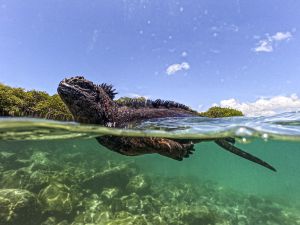 marine reserve
