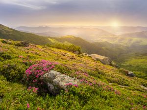 vernal equinox