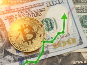 97% of Bitcoin holders are in profit new data shows