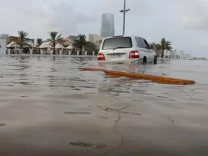 سيول دبي
