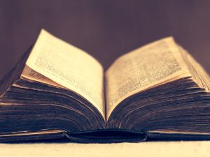 Bible 