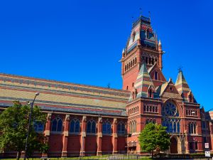 Harvard 