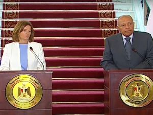 تعاون مصري سلوفيني جديد يعلنه وزير الخارجية المصري