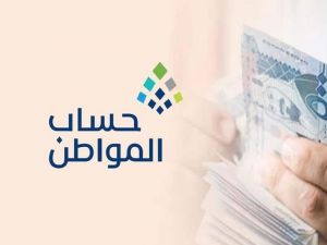 حساب المواطن يوضح معنى "حالة الدفعة لا يوجد"