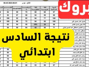 نتيجة السادس الابتدائي الدور الأول