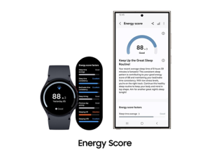 Samsung Electronics Levant