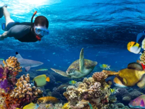 underwater