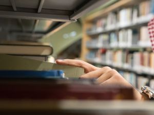 UAE universities