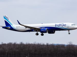 IndiGo 