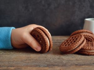 biscuit