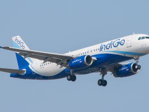 flight 