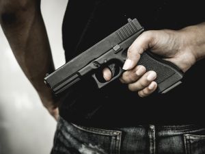 Gun