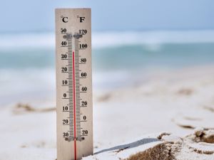 Shutterstock temperature changes