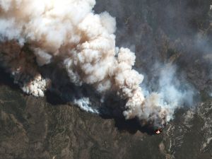 Wildfires 