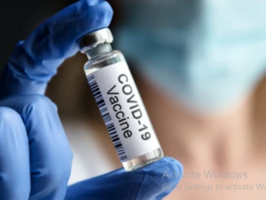 Shitterstock COVID-19