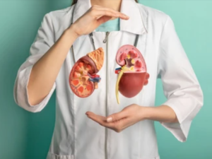 Kidney Transplant