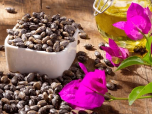 Shutterstock Oil