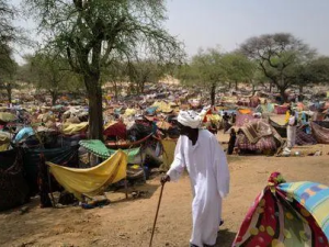 السودان - مجزرة - الدعم السريع