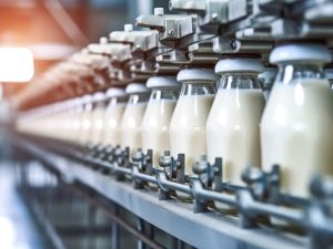 Shutterstock bird flu