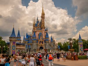 Disney 