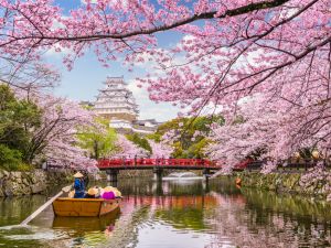Shutterstock tourism