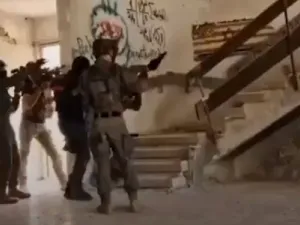 فأر