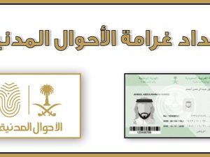 كيف اسدد غرامة الاحوال وحسابي مجمد!؟ إليك الخطوات